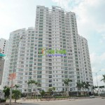 Giấy dán tường căn hộ chị Thủy – Him Lam Riverside Quận 7